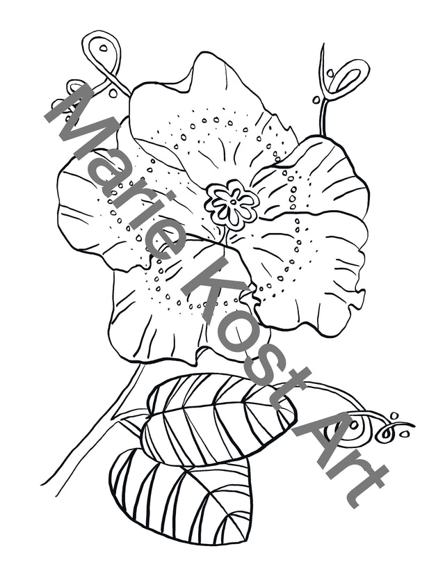 Flower Coloring Book Page