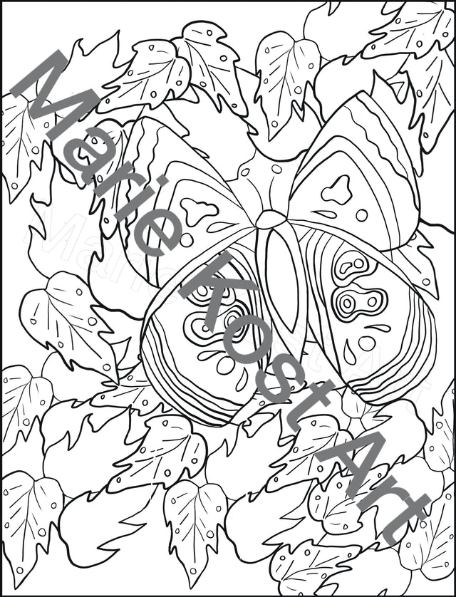 Butterfly Coloring Book Page